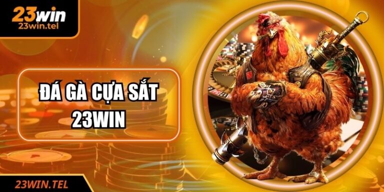 Đá Gà Cựa Sắt 23WIN: Đấu Trường Cá Cược Đẳng Cấp Quốc Tế