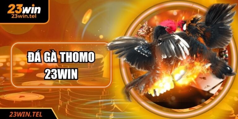Đá Gà Thomo 23WIN - Sảnh Cược Uy Tín, Tỷ Lệ Thưởng Cao 2 Đá Gà Thomo 23WIN - Sảnh Cược Uy Tín, Tỷ Lệ Thưởng Cao