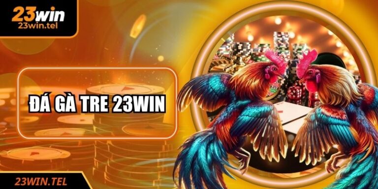 Đá Gà Tre 23WIN: Mãn Nhãn Với Cuộc Những Chiến Kê Sinh Tử