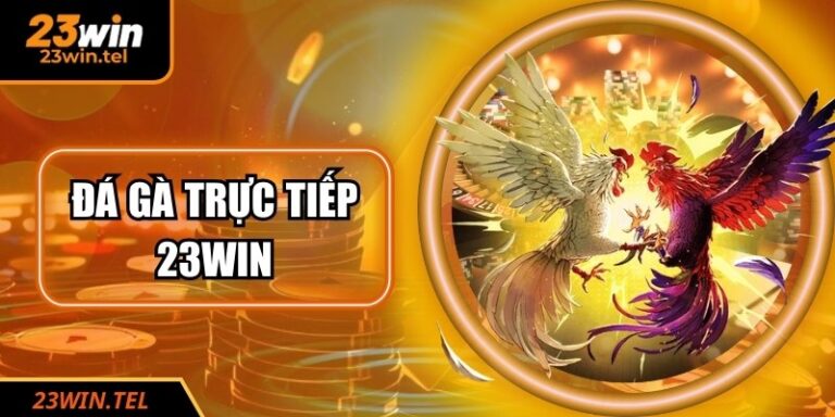 Đá Gà Trực Tiếp 23WIN – Sảnh Cược Gay Cấn, Thưởng Cao 3 Đá Gà Trực Tiếp 23WIN – Sảnh Cược Gay Cấn, Thưởng Cao