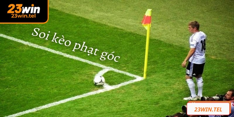 Cược thủ cần nắm rõ các nguyên tắc cơ bản nhất