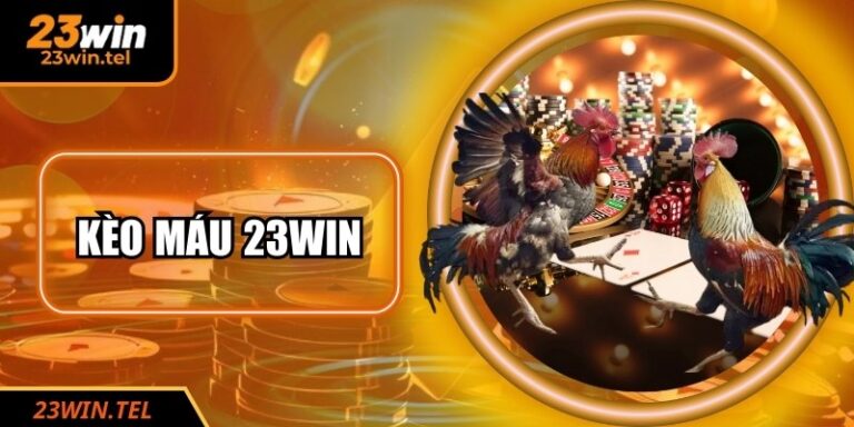 Kèo Máu 23WIN: Bí Mật Và Kinh Nghiệm Soi Kèo Bất Bại
